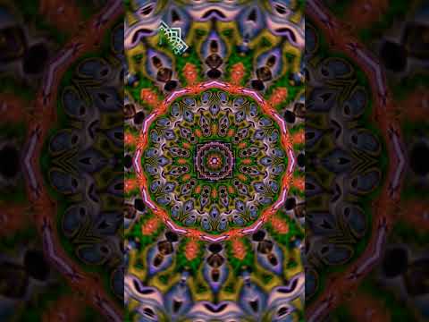 The power of the mandala 🏵️