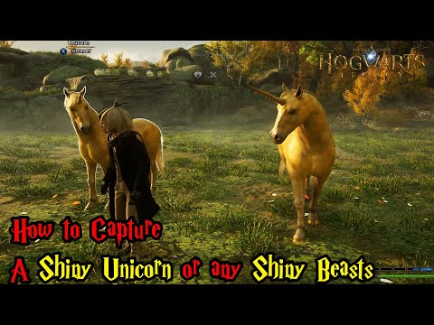 Hogwarts Legacy Guide - How to Capture a Shiny Unicorn
