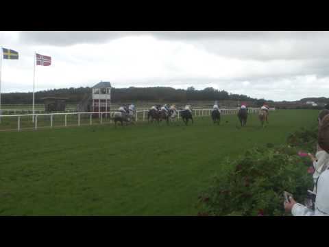 GALOPPSPELAREN - Quarter Race på Göteborg Galopp 2010-09-19