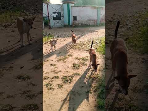 #subcribe #plz # good morning