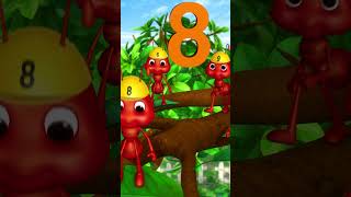 Count to 20 with the Busy Ants! 🐜🍎 #LBB #Short #number