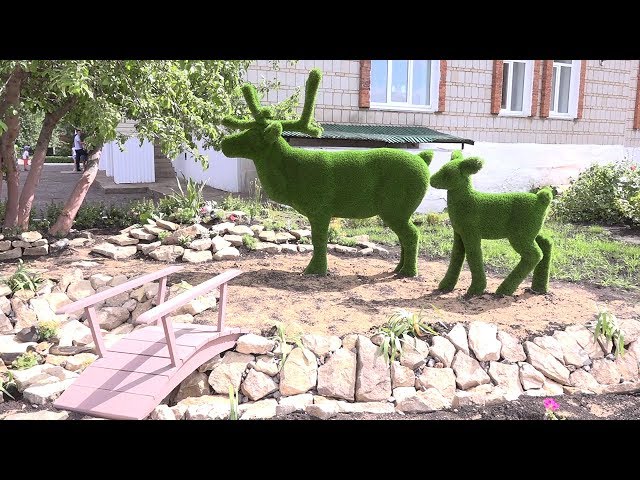 "Зеленый зоопарк" принес победу