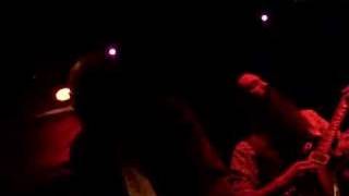 Dengue Fever- Flowers