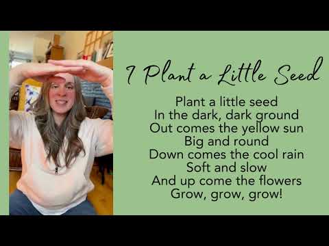 I Plant a Little Seed - A Fingerplay for Young Children