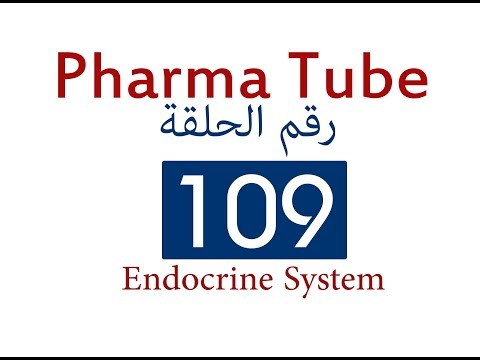 Pharma Tube - 109 - Endocrine System - 8 - Antidiabetic Drugs
