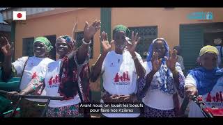 Crise humanitaire au Nord de la Côte d’Ivoire: les femmes et filles au cœur de la réponse
