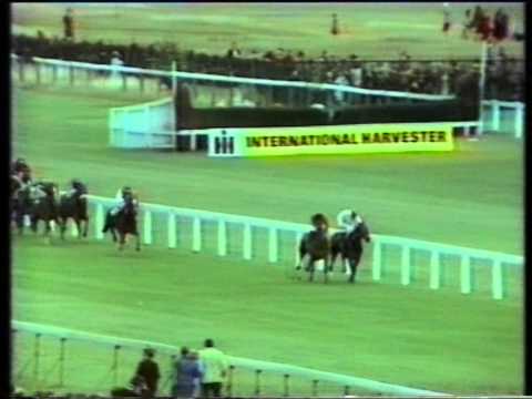 1977 St. Leger Stakes