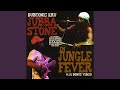 Jungle Fever (feat. Dean Frazer)