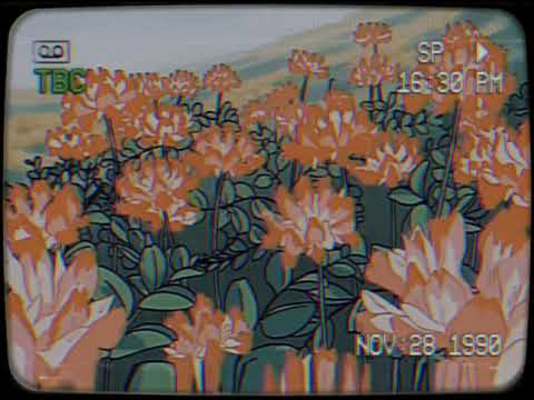 MÆYØ X sushikid - Pesta Taman Bunga (slowed+reverbed)