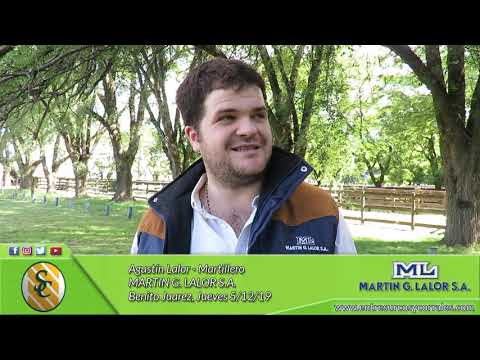 05-12-19 - Agustín Lalor - Martillero - Martín G. Lalor - Benito Juarez