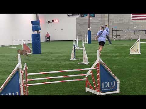 Kaldi jww Q Sept 2025