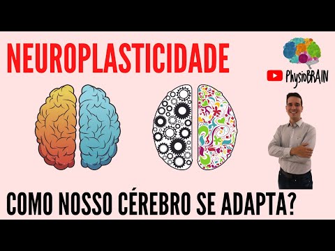 NEUROPLASTICIDADE: possibilidade do cérebro se transformar ao longo da vida. VOCÊ JÁ OUVIU FALAR?