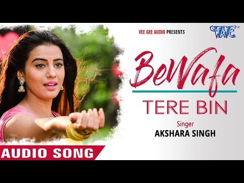 Bewafa Tere Bin — watch video