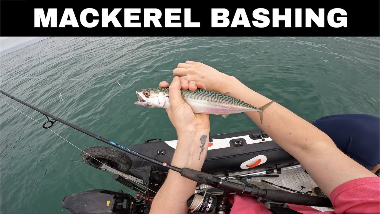 Man on an inflatable boat holding up a freshly caught mackerel.