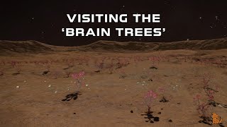 Elite:Dangerous - Visiting the Brain Trees.