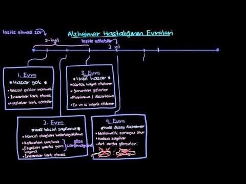 alzheimer hastal evreleri