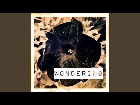 Wondering