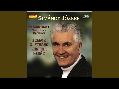 A montmarte-i ibolya - Ma önről álmodtam megint...