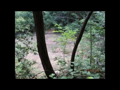 Farășești, Romania