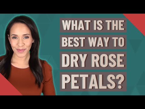What is the best way to dry rose petals?