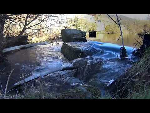 Relaxing Waterfall Sounds for Sleep | 2 Hour White Noise