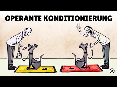 Skinners Operante Konditionierung