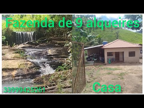 Uma fazenda de 9 alqueires à venda toda formada em braquiária...
