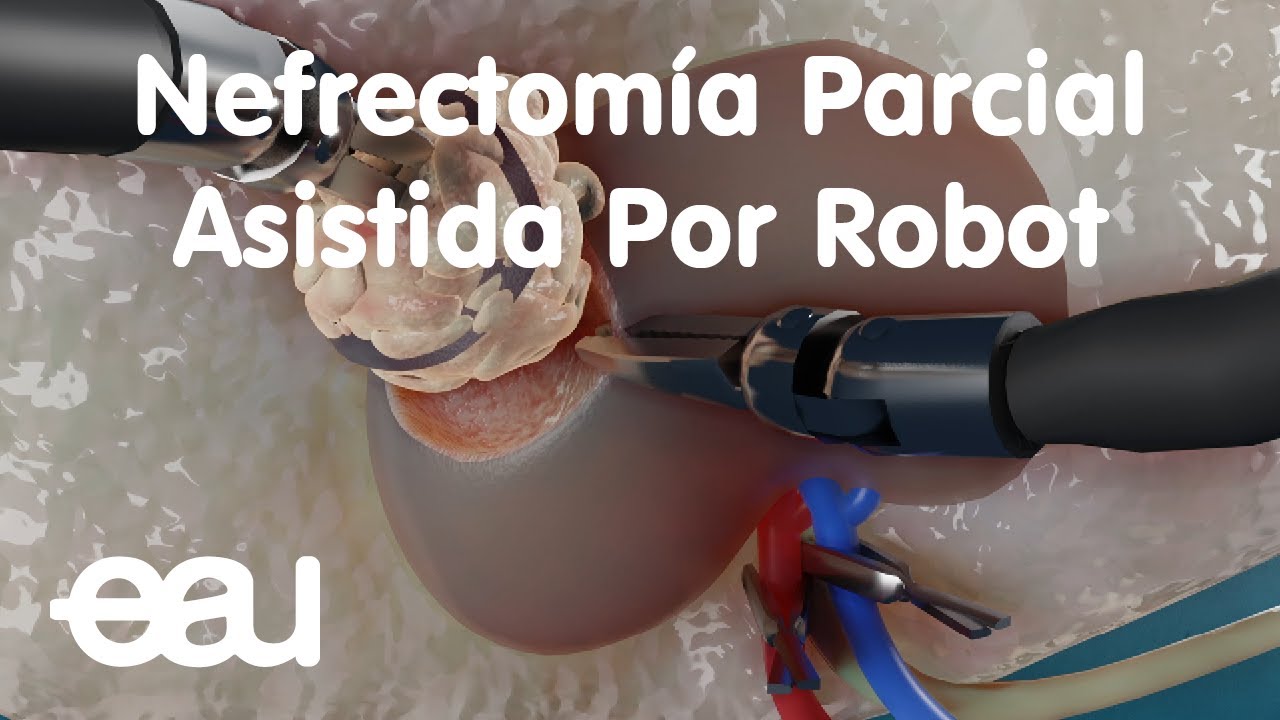 Mario Alberto Sánchez Sánchez-8