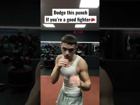 Dodge This Punch