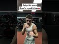 Dodge This Punch