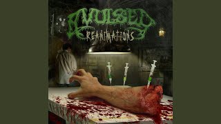 Unconscious Pleasure (2006 Re-Dissection)