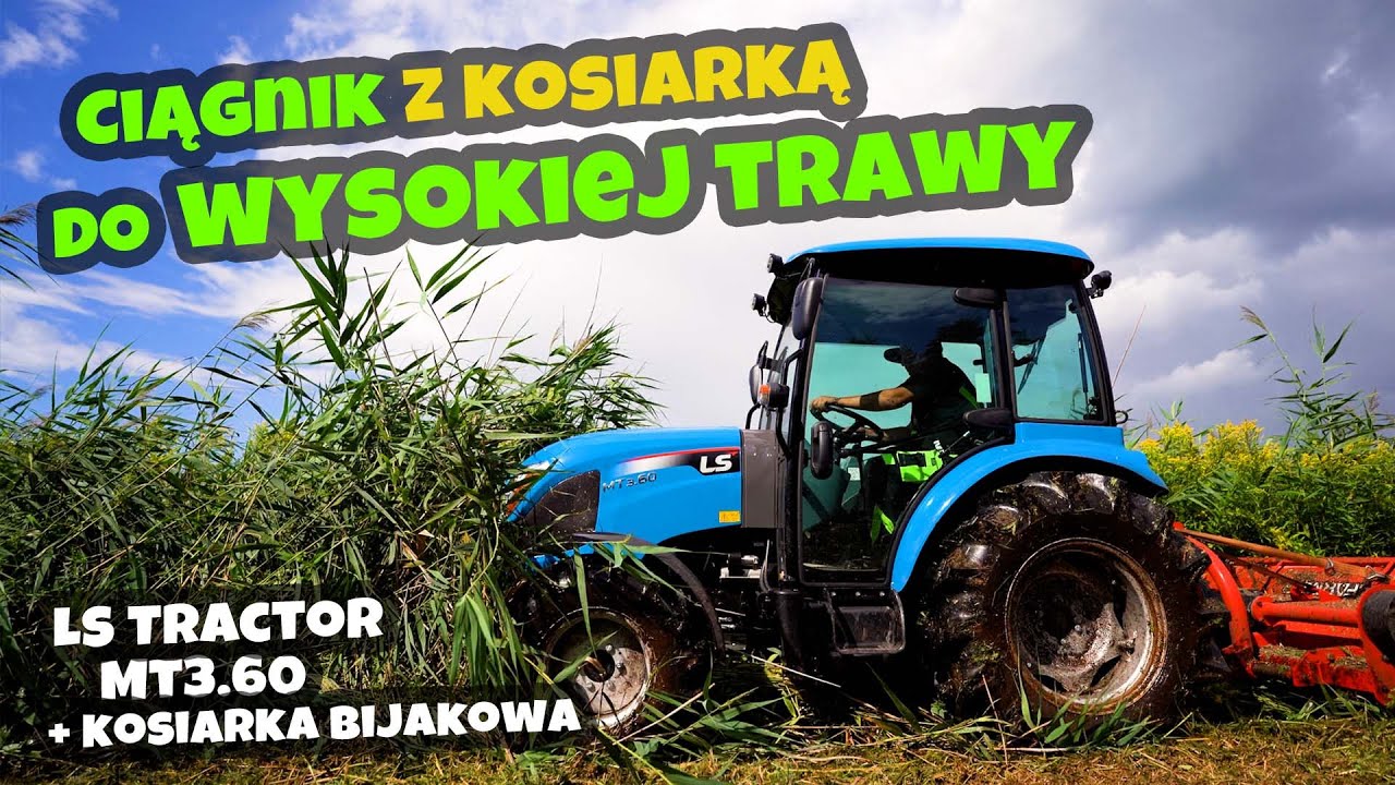 Koszenie wysokiej i gęstej trawy / zarośli. LS Tractor MT3.60 + Kosiarka bijakowa :: Traktor.com.pl