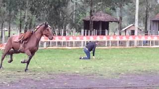 preview picture of video 'Queda de cavalo do David no Sétimo IRA em Venâncio Aires'