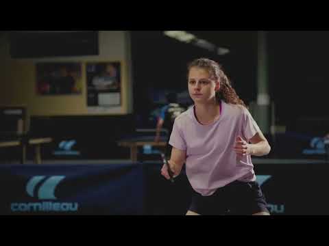 Теннисный стол CORNILLEAU 100 INDOOR синий 2023