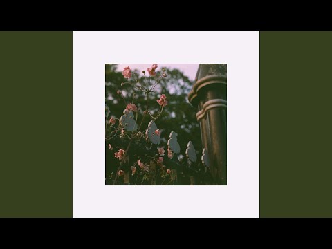 Play video on YouTube