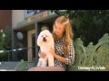 Caroline Sunshine And Pawley Talk Disney S Frankenweenie 3
