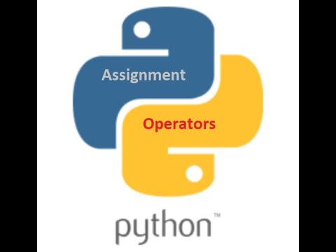Python Beginners Assignment Operators 369 Proit