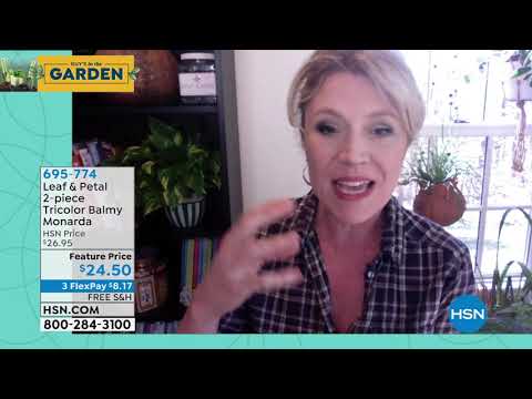 HSN | Guy's in the Garden - Countdown to Summer 05.08.2020 - 09 AM