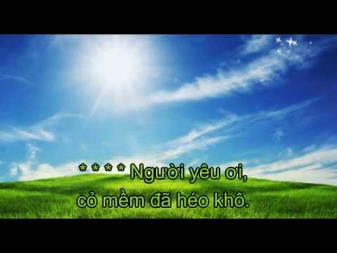 Cơn Mưa Tình Yêu - Phương Linh ft Hà Anh Tuấn [Karaoke]