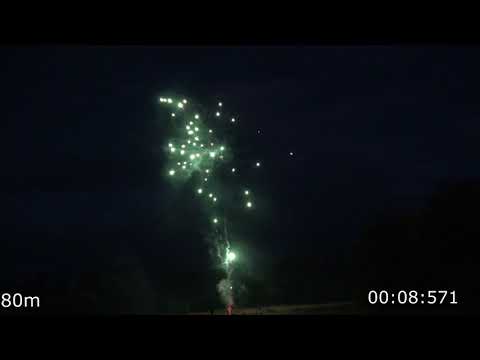 0401208 - 25 Schuss - Green Peony