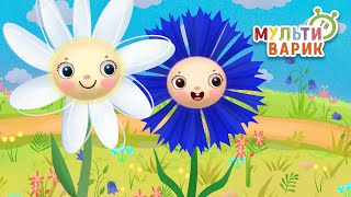 РОМАШКА И ВАСИЛЁК ♫ МУЛЬТиВАРИК ТВ ☺ ДОБРАЯ  МУЛЬТ ПЕСЕНКА ДЛЯ ДЕТЕЙ ♫ 0+