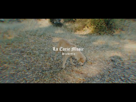 La Carie (Malamadre,Limbo LowFi,Baila Monstruo) ft Metrik Vader X La Jente Color Yanta (PROD DZZ)