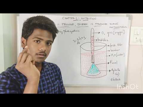PHOTOSYNTHESIS BY PHANINDRA