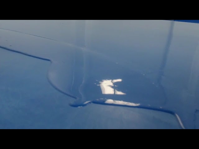 imagen-video-thefoodtech