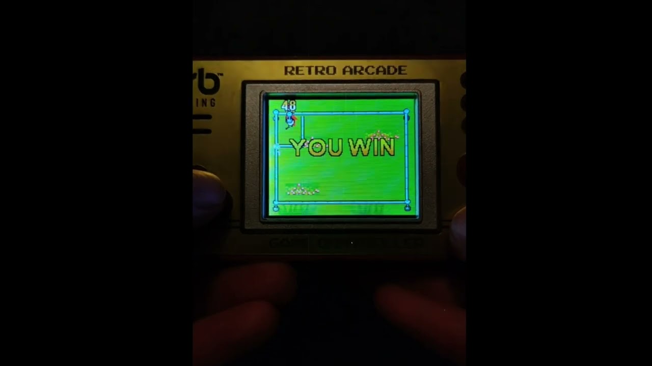 Catch Chicken (by orb gaming)