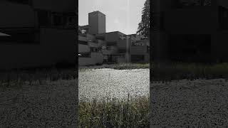Download lagu Residential Accommodation? mp3