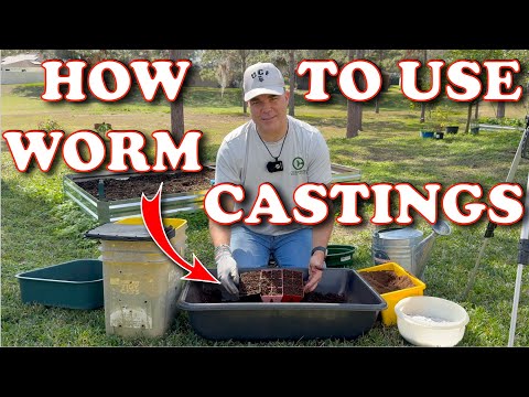 7 Ways I Use Worm Castings In My Garden! | Vermicompost Worm Farm