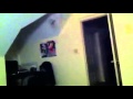 Cat Catches Bat