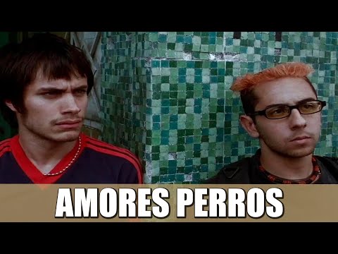 AMORES PERROS | RESEÑA (TODO DUEÑO SE PARECE A SU PERRO)