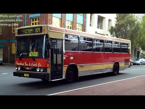 Nice Allison - Punchbowl Bus Co. M/O 9004 - Hino RG197K (Allison/Custom Coaches)